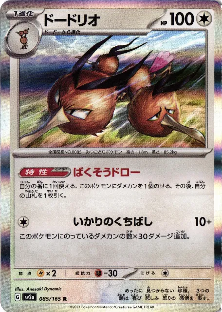 Dodrio  Vorderseite