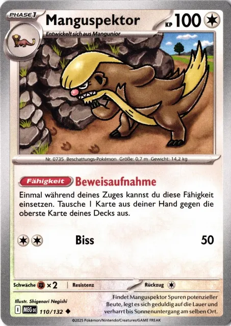 Manguspektor Mega-Entwicklung 110/132 Vorderseite