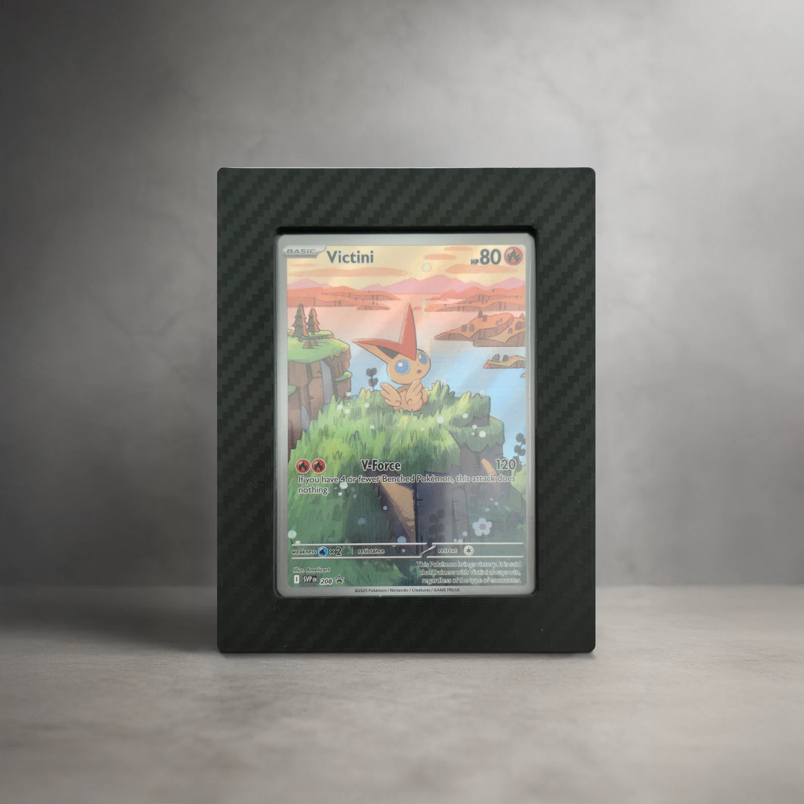 Wandhalterung für Pokémon-Karten Toploader Carbon-Look
